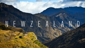 NZ1